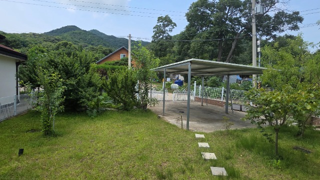 20260630_111326.jpg