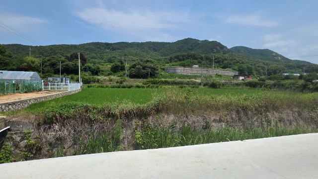 20260630_120556.jpg