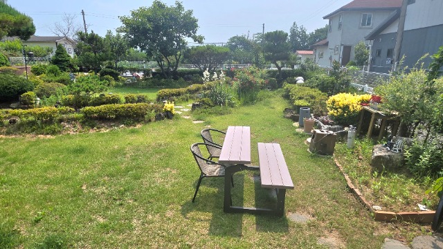 20260701_110701.jpg