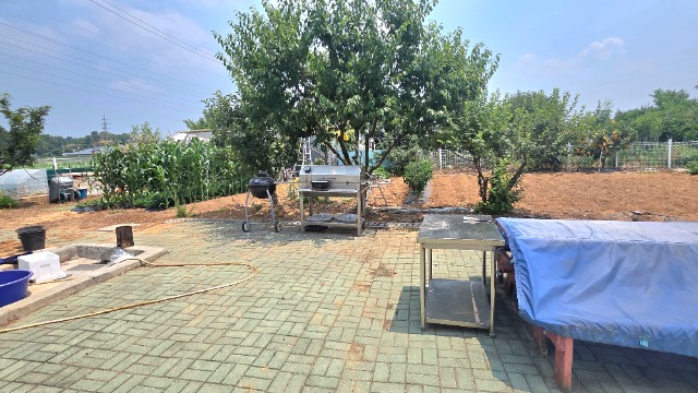 20260701_120808.jpg