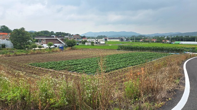 20260702_135317.jpg