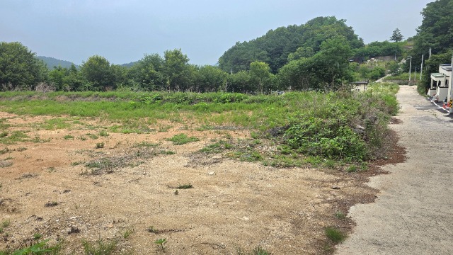 20260702_141436.jpg