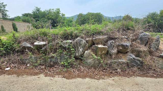 20260702_141418.jpg