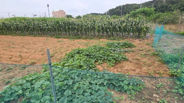 20260702_145227.jpg