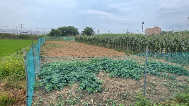 20260702_145218.jpg