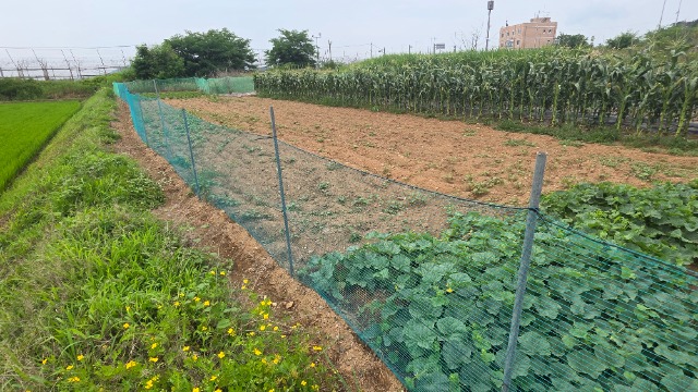 20260702_145226.jpg