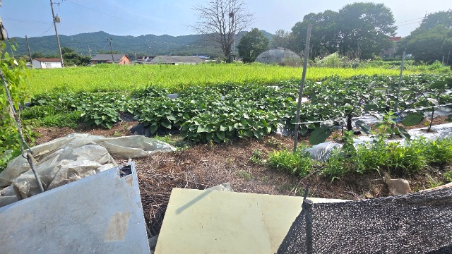 20260703_160351.jpg