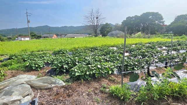 20260703_160400.jpg