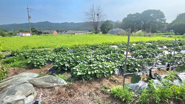 20260703_160404.jpg