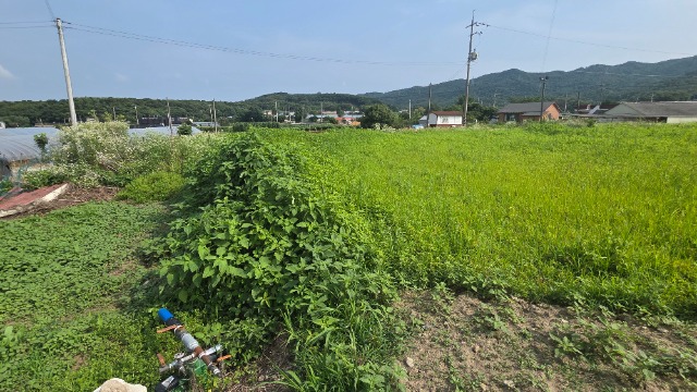 20260703_160421.jpg
