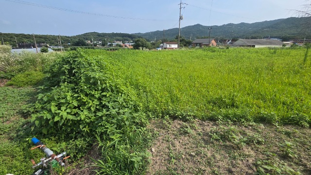 20260703_160419.jpg