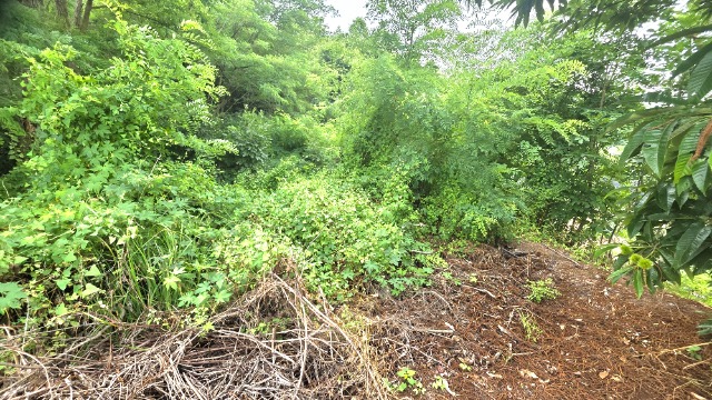 20260707_120713.jpg