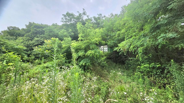 20260707_120747.jpg