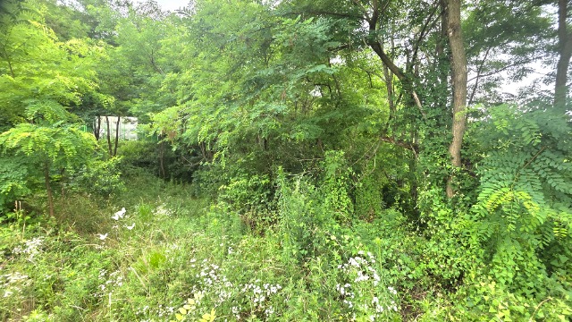 20260707_120749.jpg