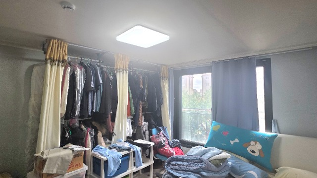 20260708_110449.jpg