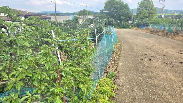 20260709_164054.jpg