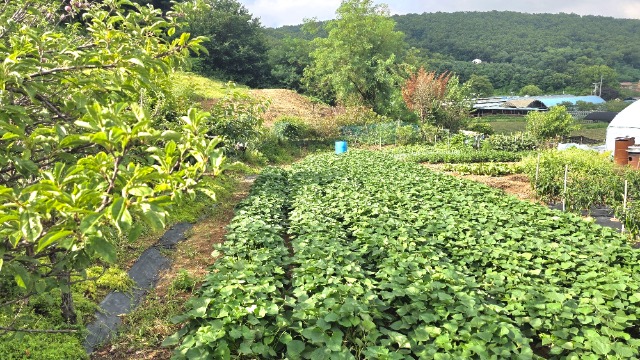 20260709_164109.jpg