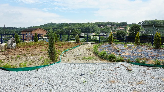 20260715_135023.jpg