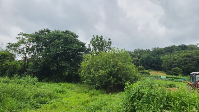 1784877954035 (1).jpg
