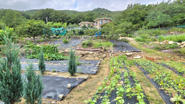 20260724_143338.jpg