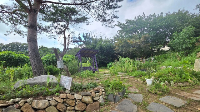 20260729_150106.jpg