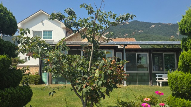 20260807_145217.jpg