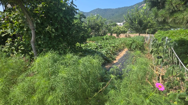 20260807_145329.jpg