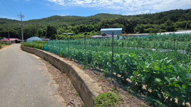 20260811_113441.jpg