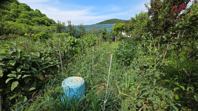20260819_145718.jpg