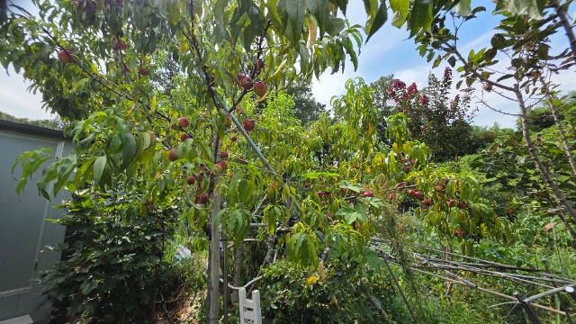 20260819_145855.jpg