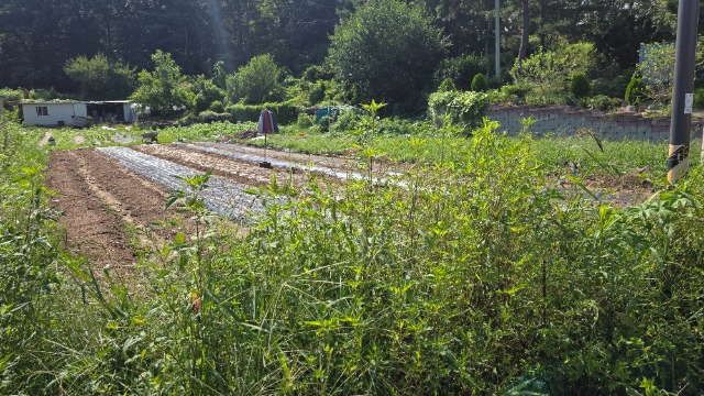 20260824_145641.jpg