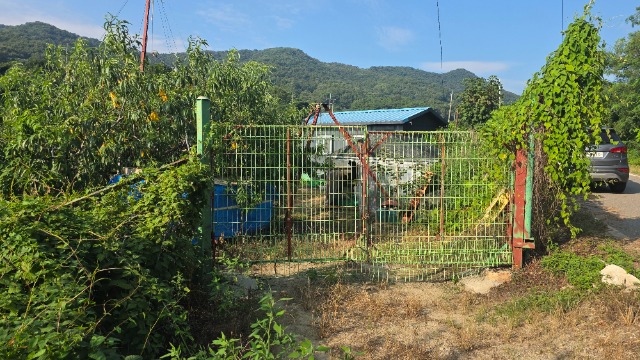 20260824_165016.jpg