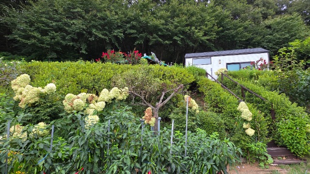 20260829_164324.jpg
