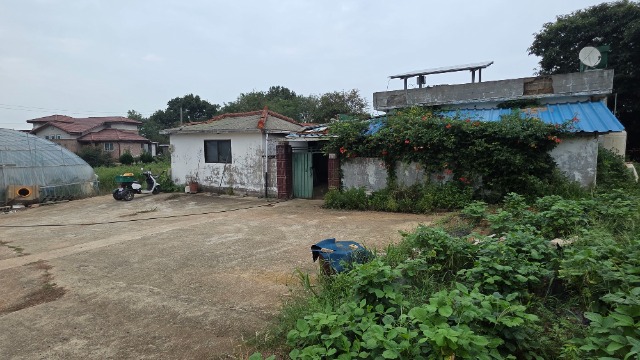 20260828_171122.jpg