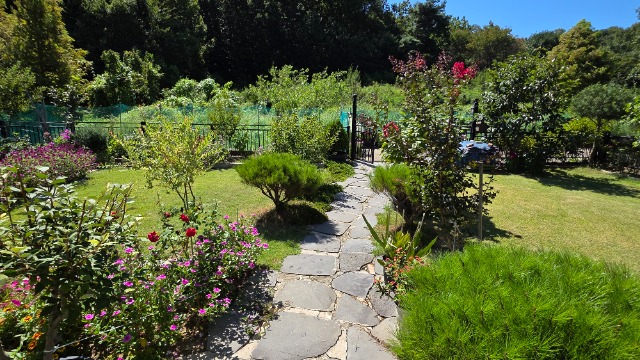 20260907_112545.jpg