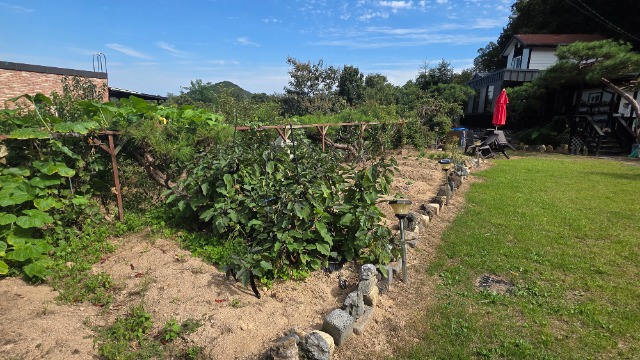 20260908_143717.jpg