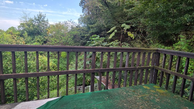 20260908_144706.jpg