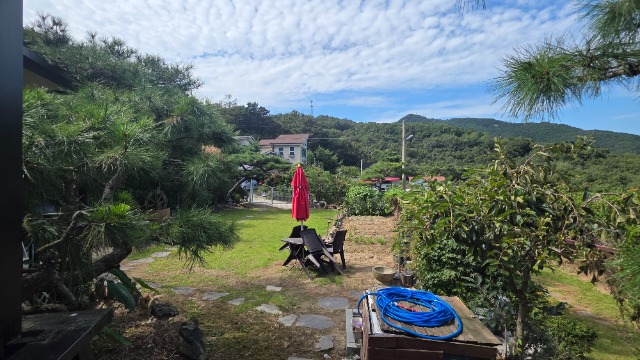 20260908_143806.jpg