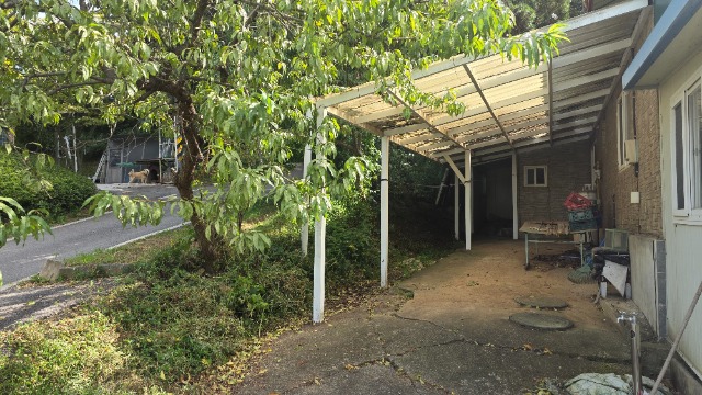 20260909_143730.jpg