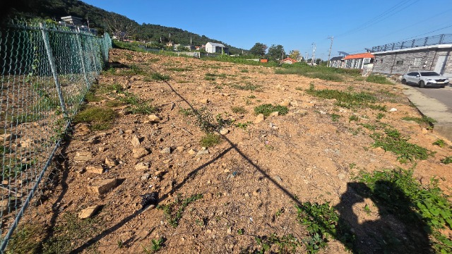 20260916_160108.jpg
