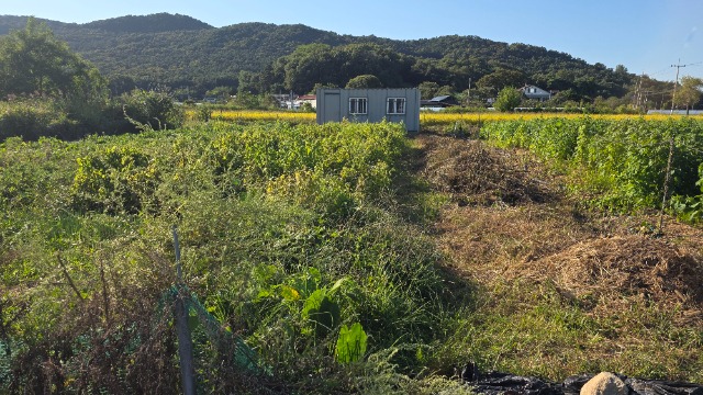 20260916_162741.jpg