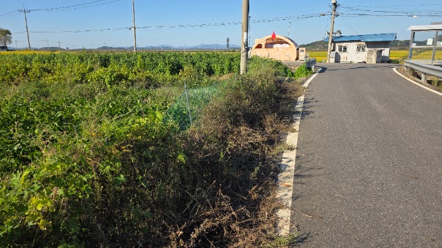 20260916_162802.jpg