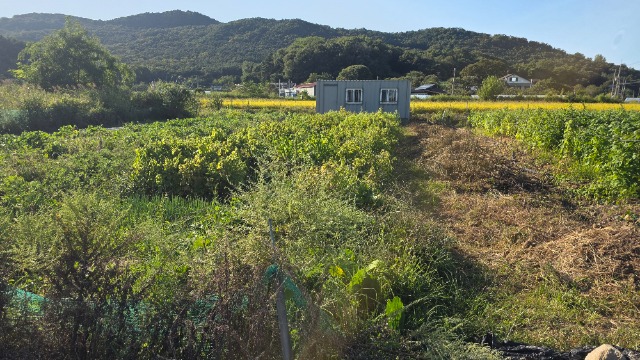 20260916_163325.jpg
