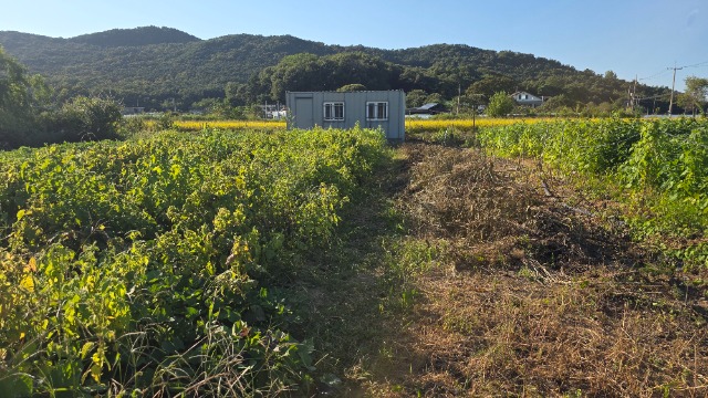 20260916_163313.jpg