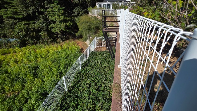 20261002_150918.jpg