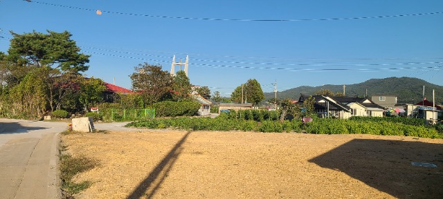 1790928066925.jpg