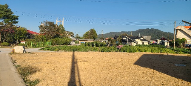 1790928066767.jpg