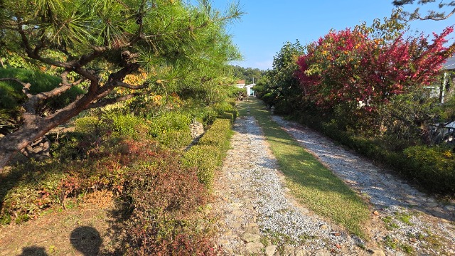 20261012_090823.jpg