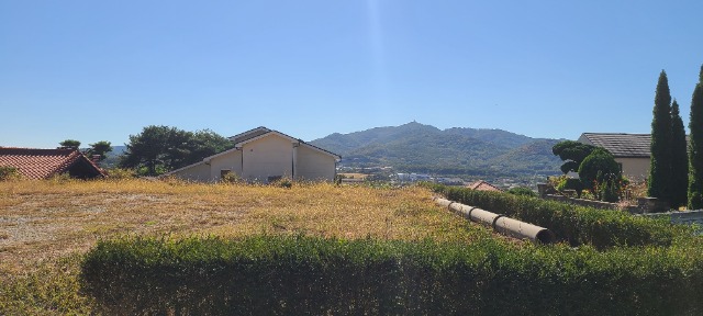1791957762528.jpg